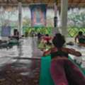 Join Our 50 Hour Yoga Teacher Training Course