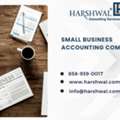 Trusted Small Business Accounting Company For Efficient Financial Management