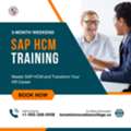Unlock HR Efficiency With SAP HCM Solutions