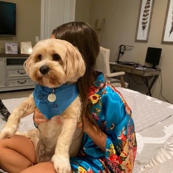 New York, Pet Sitting, Gentle Grooming That Pets Love