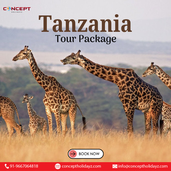 New Delhi, Travel, Tanzania Tour Package