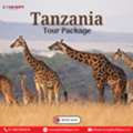 Tanzania Tour Package