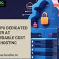 Buy GPU Dedicated Server At Affordable Cost From Hostinc