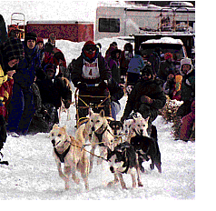 New York, Travel, A Cabin In The Wild