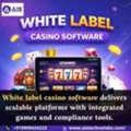 White Label Casino Software Delivers Scalable Platforms With Integrated Games And Complian