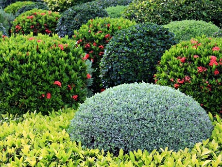 New York, Business, Absolute Lawn Care And Landscaping