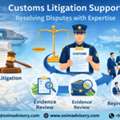 Customs Litigation Support Experts | Exim Advisory
