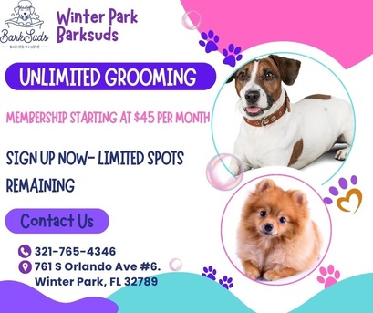 New York, Pet Sitting, Winter Park Dog Grooming That Pups Actually Enjoy