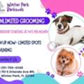 Winter Park Dog Grooming That Pups Actually Enjoy