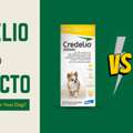 USD 39,  Bravecto Vs Credelio: A Complete Flea Prevention Comparison | CanadaVetCare