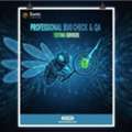 Professional Bug Check & QA Testing Services With Zarthi