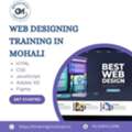 Best Institute For Web Designing Training In Mohali