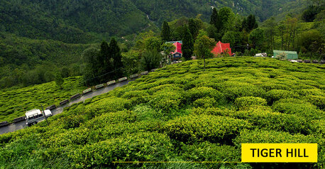 Kolkata, Travel, Sikkim Darjeeling Package Tour From Mumbai