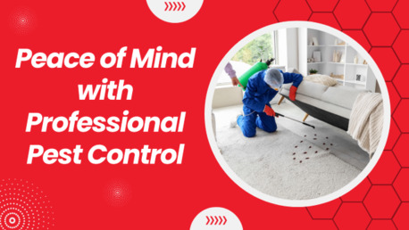 Sydney, Pest Control, Effective Solutions For Every Infestation &ndash; Pest Control Heidelberg