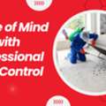 Effective Solutions For Every Infestation &ndash; Pest Control Heidelberg
