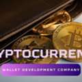 What Market Trends Are Secretly Driving Cryptocurrency Wallet Development Demand?