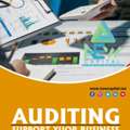 Auditing Support Your Business