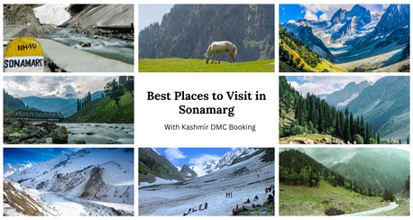 New Delhi, Travel, Best Places To Visit In Sonamarg For Family And Solo Trips