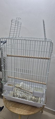 Jeddah, Pet Supplies, SAR 400,  Healthy Cocktail Male With Cage