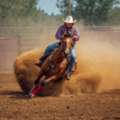 Search And Attend Rodeos Near You