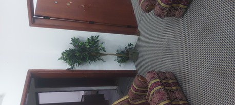 Jubail, Apartments/Houses, SAR 2800/month,  Furnished,  Studio,  2BHK Fully Furnished Family Flat Near Shifa Hospital For Rent