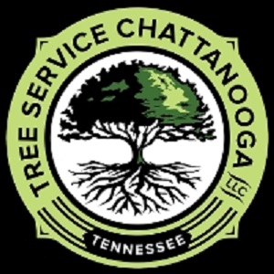 New York, Business, Common Ground Tree Service