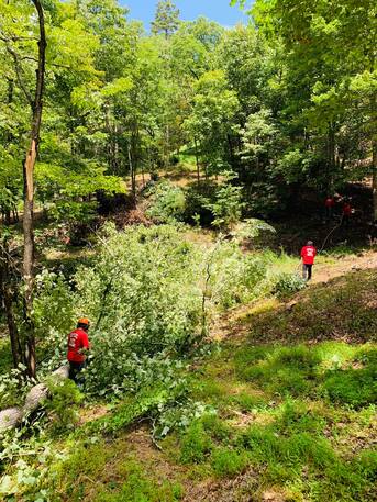 New York, Business, Common Ground Tree Service