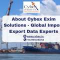About Cybex Exim Solutions | Global Import Export Data Experts