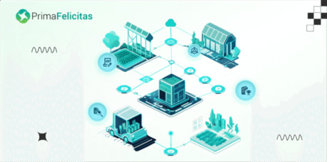 New York, Software Development, Innovative Blockchain Development Company Powering Next-Gen Digital Transformation