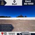 BHD 1000, 2003 Sq. Meter, Land For Lease – Buri | Prime RG Location