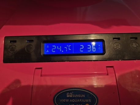 Riyadh, Pet Supplies, SAR 220,  Big Aquarium With 10 Fishes