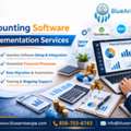 Expert Accounting Software Implementation Services For Financial Efficiency