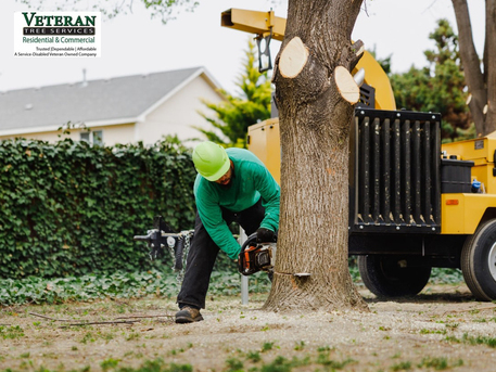New York, Farm/Garden, Complete Property Care From A Trusted Tree Service Montgomery County, MD, Team
