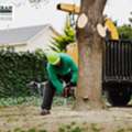 Complete Property Care From A Trusted Tree Service Montgomery County, MD, Team