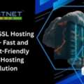 Secure SSL Hosting India &ndash; Fast And Budget-Friendly Web Hosting Solution