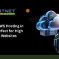 Reliable AWS Hosting In India &ndash; Perfect For High Traffic Websites