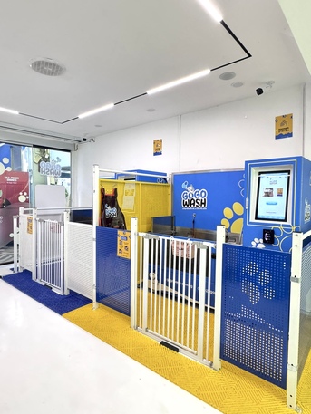 Singapore, Business, Clean Canines Made Easy: Pet Wash Station Benefits