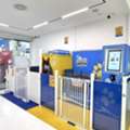 Clean Canines Made Easy: Pet Wash Station Benefits