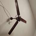 SAR 100,  Ceiling Fan
