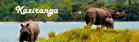 Kolkata, Travel, Book North East Package Tour From Guwahati