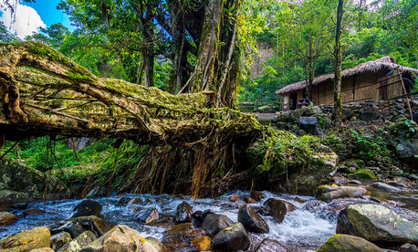 Kolkata, Travel, Book North East Package Tour From Guwahati