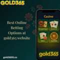 Best Online Betting Options At Gold365 Website