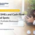 Cash Flow Management: The Key To Sustainable Expansion