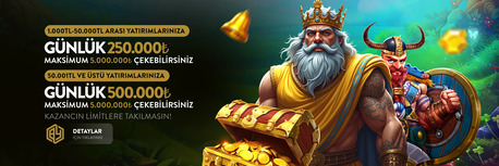 Istanbul, Business, Owner