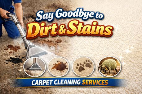 Sydney, Cleaning, Carpet Cleaning Burleigh Heads &ndash; Fresh Carpets, Guaranteed Results