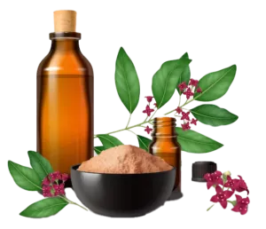 New York, Health, Natural Homeopathy Care From A Trusted Store