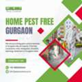 Pest Control Near Me Gurgaon