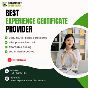 Mumbai, Marketing, Experience Certificates Provider In Delhi