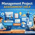 Management Project Assignment Help For Top Grades