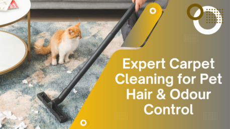 Sydney, Cleaning, Tough On Pet Stains, Gentle On Carpets &ndash; Carpet Cleaning Butler